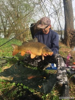 Kliknutím fotografii zvětšíte Šupík 70 cm. 7 kg.
