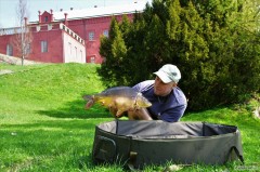 Kliknutím fotografii zvětšíte Feeder architectural + 3,7kg