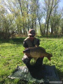 Kliknutím fotografii zvětšíte 72 cm. 8,50 kg.