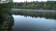 Dobechov rybn�k