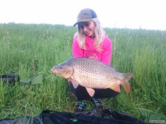 Kliknutím fotografii zvětšíte carp z řeky