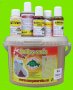 Boilies sm�s Red faktor  2 kg +  atraktory
