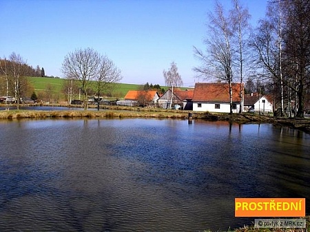 XX. Březská vydra