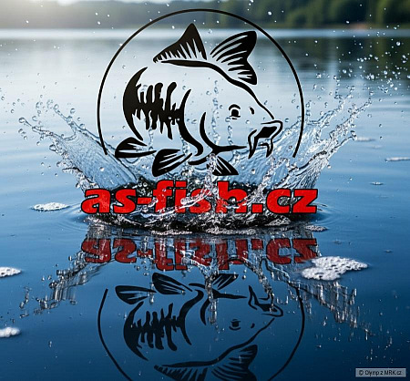 AS Fish carp race na jezeře OLYMP