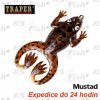 Traper Natural Frog - barva 2 