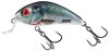 Salmo Wobler Rattlin Hornet Sinking Holographic Real Dace - 3,5cm 5,5g 