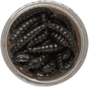 Berkley Gumová Nástraha PowerBait Power Honey Worm 2,5 cm 25 ks Black