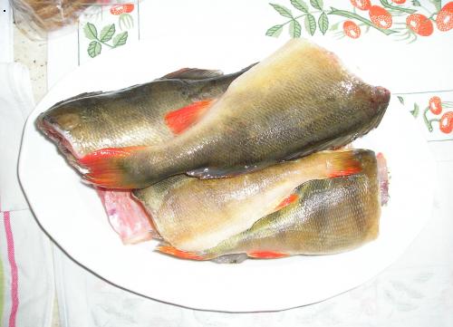 kliknutím fotku zvětšíte