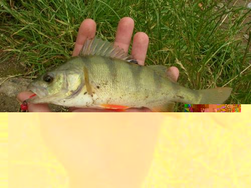 kliknutím fotku zvětšíte