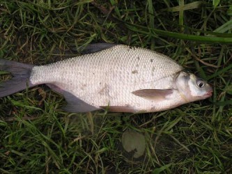 kliknutím fotku zvětšíte