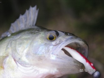 kliknutím fotku zvětšíte