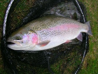 kliknutím fotku zvětšíte