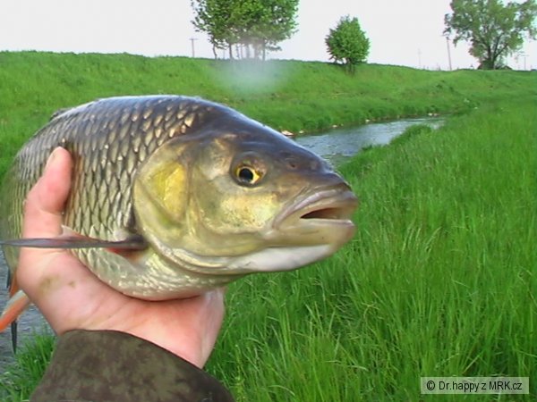 kliknutím fotku zvětšíte