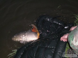 kliknutím fotku zvětšíte