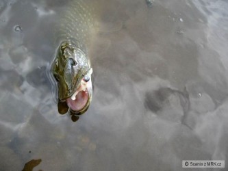 kliknutím fotku zvětšíte