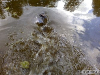 kliknutím fotku zvětšíte