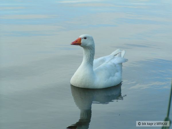 kliknutím fotku zvětšíte