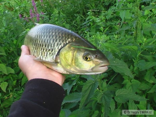 kliknutím fotku zvětšíte