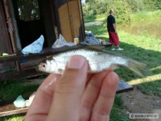 kliknutím fotku zvětšíte