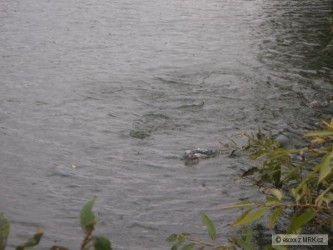 kliknutím fotku zvětšíte