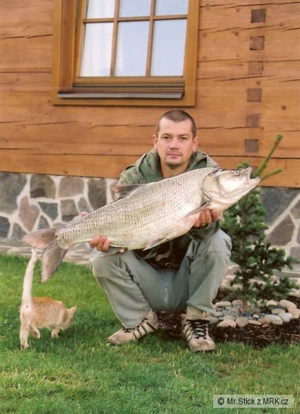 kliknutím fotku zvětšíte