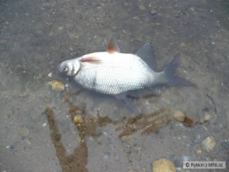 kliknutím fotku zvětšíte