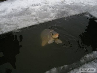 kliknutím fotku zvětšíte