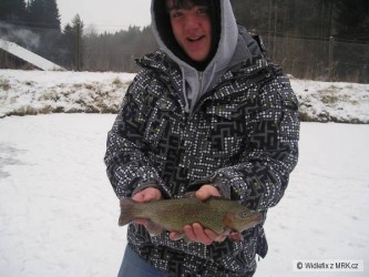 kliknutím fotku zvětšíte