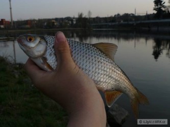 kliknutím fotku zvětšíte