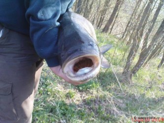kliknutím fotku zvětšíte