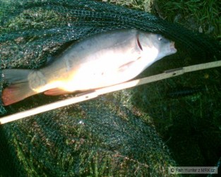 kliknutím fotku zvětšíte