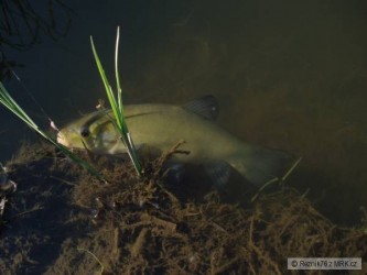 kliknutím fotku zvětšíte