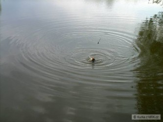 kliknutím fotku zvětšíte