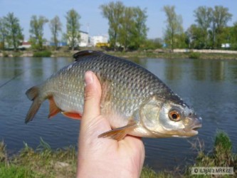 kliknutím fotku zvětšíte