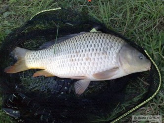 kliknutím fotku zvětšíte