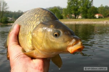 kliknutím fotku zvětšíte