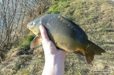 kliknutím fotku zvětšíte