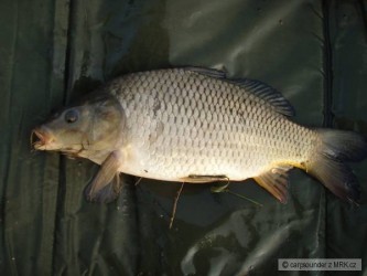 kliknutím fotku zvětšíte