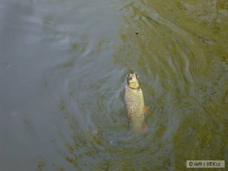 kliknutím fotku zvětšíte