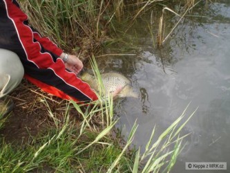kliknutím fotku zvětšíte