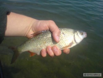 kliknutím fotku zvětšíte