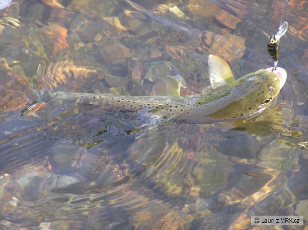 kliknutím fotku zvětšíte