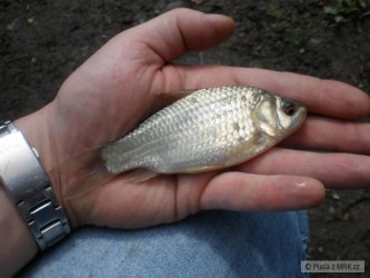 kliknutím fotku zvětšíte