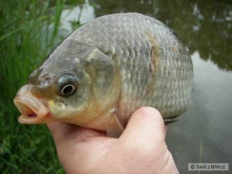 kliknutím fotku zvětšíte