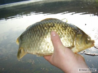 kliknutím fotku zvětšíte