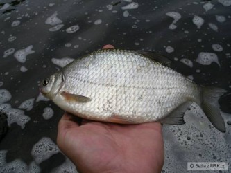 kliknutím fotku zvětšíte