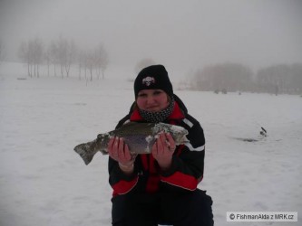 kliknutím fotku zvětšíte