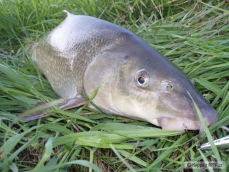 kliknutím fotku zvětšíte