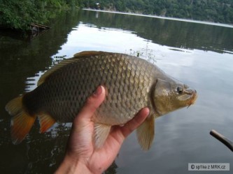 kliknutím fotku zvětšíte