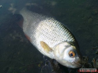 kliknutím fotku zvětšíte